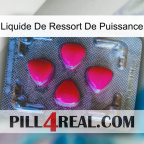 Power Spring Liquid 13